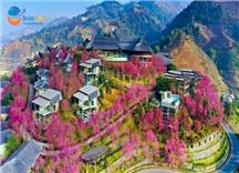 Tour Du Lịch Mù Cang Chải Mùa Mai Anh Đào 3N2Đ